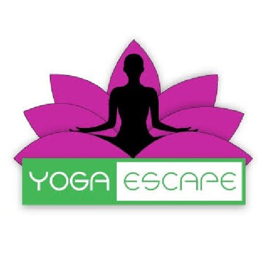 yoga escape salem best yoga in salem oregon